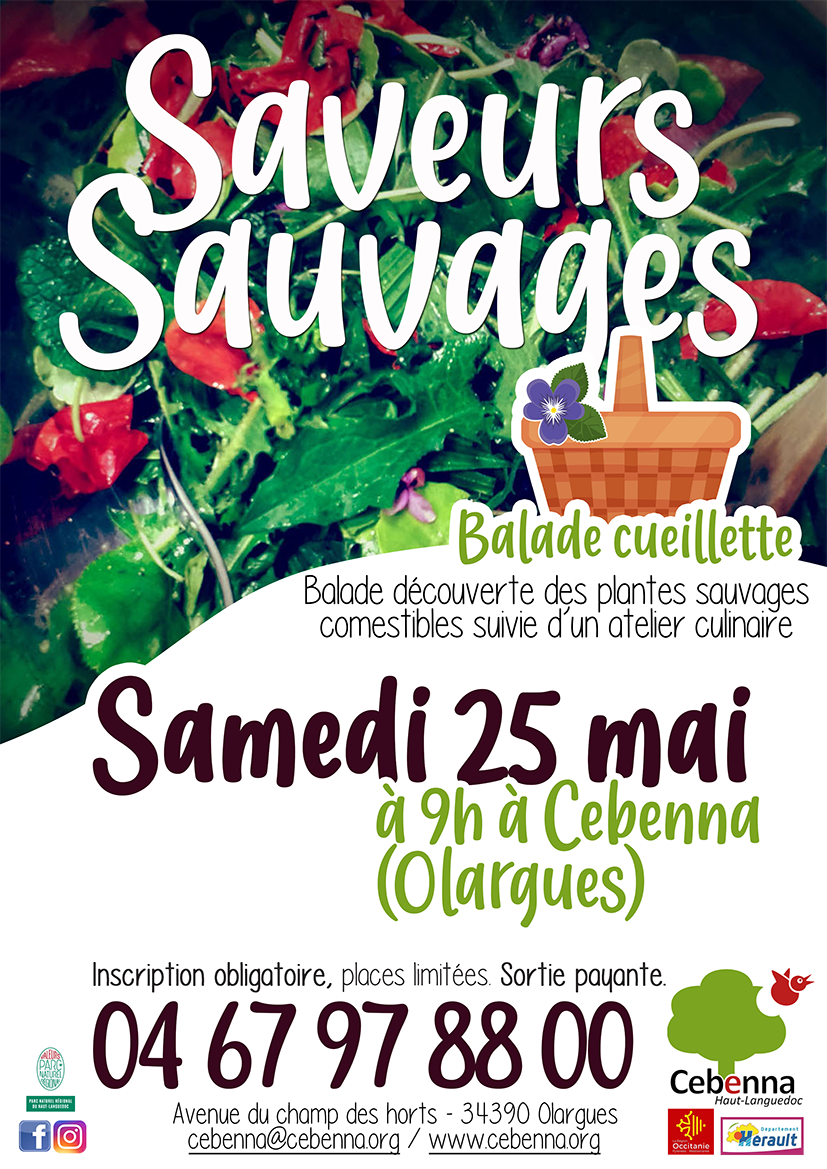 SaveurS_25mai2024